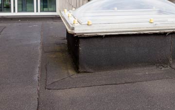 disadvantages of High Moorsley flat roofs