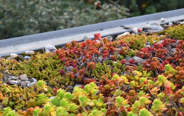 the cost of High Moorsley green roof installation