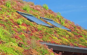 High Moorsley living roof systems