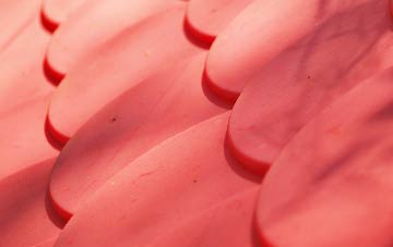 High Moorsley plastic roof costs